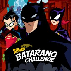Batman Batarang Challenge