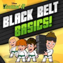 Black Belt Basics