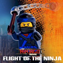LEGO Ninjago Flight of the Ninja